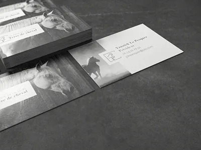 Terre de cheval 3d mockup black and white booklet equitation france graphic design horses logo top of the range upmarket