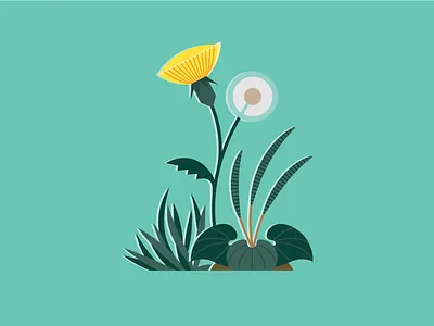 Dandelion dandelion flora garden illustration
