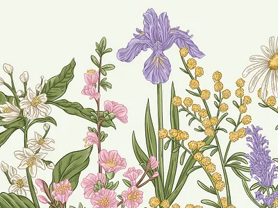 Broken Heart Gin Garden botanical digital illustration floral flower foliage gin illustration ingredients set spatial design