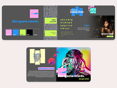 Blue Iguana Records - website design blue iguana brutalism brutalist coumba coumbawin graphic design record label ui user experience user interface ux web app web design website design