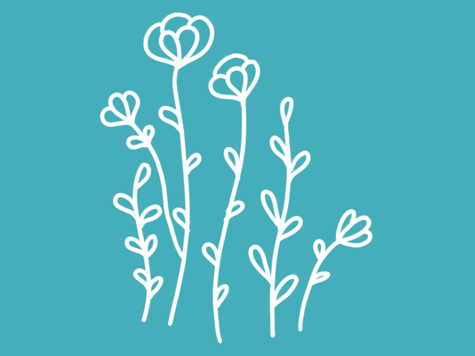 Floral Animated Gif animated animated gif branding design gif hungarian illustration