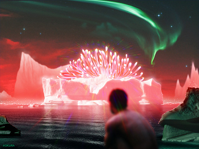 ˖°✧ 𝗔𝗥𝗖𝗧𝗜𝗖𝗢 𝗖𝗢𝗥𝗔𝗟𝗜𝗔 ✧°˖ alone antarctica arctic aurora boy cold coral dreamscape freeze frozen gay ice iceberg landscape nothern lights polar queer tranquil water