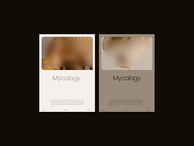 Mycology - Design Exploration 10 aesthetic blur branding concept delicate elegant exploration feminine graphic design layout minimal mushrooms overlay photography poster rounded skincare soft texture vegan