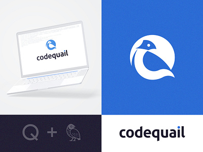 Codequail Logo Design brand identity design branding coding coding logo digital flat logo graphic design logo design logo mark logodesign logomarca logos logotype metaverse minimalist logo modern logo programming round logo sleek logo software