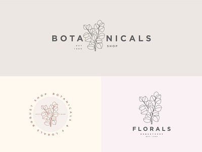 Botanical Logo Design bohologo botanic botanical botanical logo design botanicals creative design feminine flower flowers garden graphic design green logo logo design modern nature owner plant vector