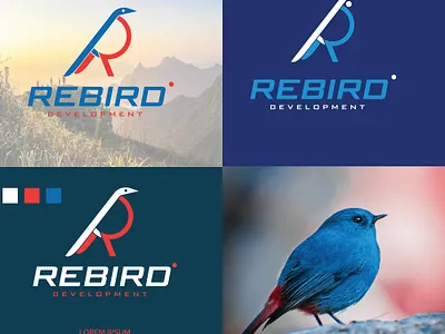 REBIRD LOGO design graphic design illustration logo t shirt vector