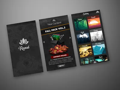 Reveal Mobile App design ui ux