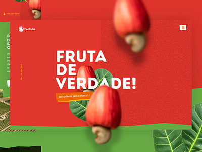 Do nordeste para o mundo boa fruta caju color design fazenda fruit fruta green nordeste red site ui ux