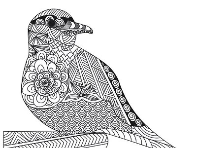 Roody the birdy. bird colorbook colourbook illustration line lineart vector