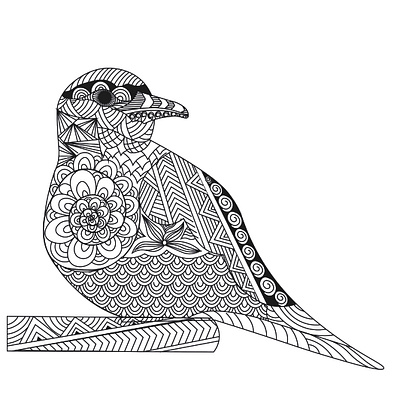 Roody the birdy. bird colorbook colourbook illustration line lineart vector