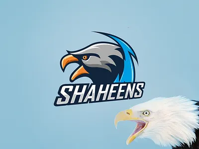 Shaheens Bald Bird Mascot Logo 2022 logo bird logo graphic design illustration logo mascot logo pakistan shaheens vector