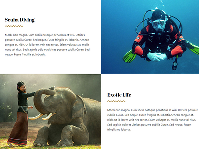 About Page - Hotel WordPress Theme 3d animation branding design graphic design hotel illustration logo motion graphics plugins resort responsive site builder template theme tourism ui voyage web design wordpress