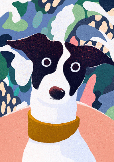 A Dog colourful digital dog editorial illustrated illustration illustrator pattern pet petportrait procreate retro texture
