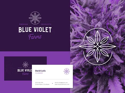 Blue Violet Farms Logo Design cannabis farm identity design logo