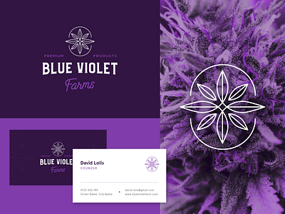 Blue Violet Farms Logo Design cannabis farm identity design logo