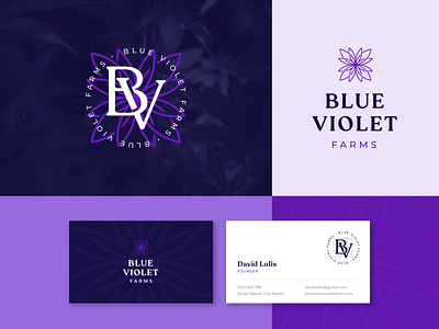 Blue Violet Farms Logo Design cannabis farm ident identity design logo