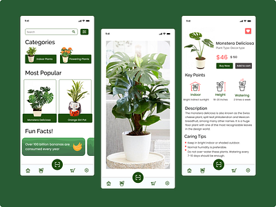 Plant Identifier App online plants shopping plant identifier plant identifier app plants plants app