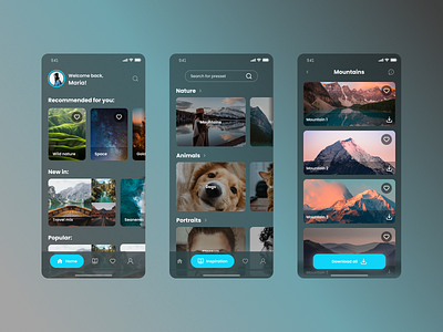 preset app app design icon lightroom photography preset ui ux