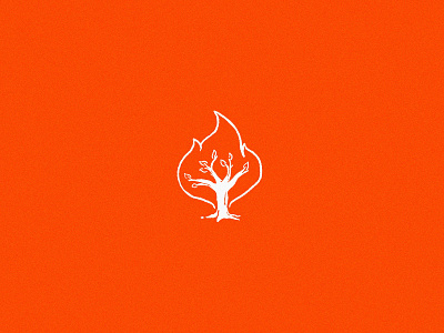 Burning Bush