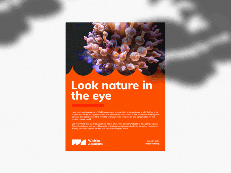 Wichita Aquarium Posters aquarium fictional fish kansas layout poster water waves wichita