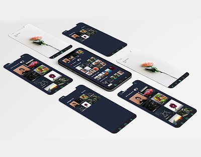 Photo Gallery app application branding design figma gallery graphic design illustration photo editor photos ui uiux ux videos