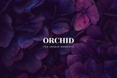 Logo for the flower shop "Orchid" branding design graphic design icon logo иллюстратор магазин мокап фирменный стиль цветы