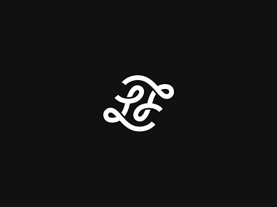 LJ Personal Logo animation ambigram animation black branding intro letter letters line logo minimal monogram outro reveal simple video vlog white youtube