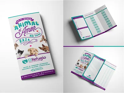 Vet Clinic - Brand Redesign branding identity design logo vet