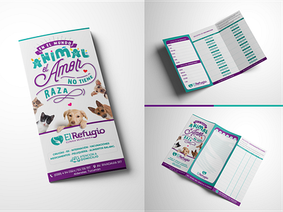 Vet Clinic - Brand Redesign branding identity design logo vet
