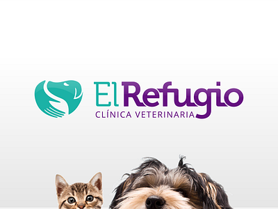 Vet Clinic - Brand Redesign branding identity design logo vet