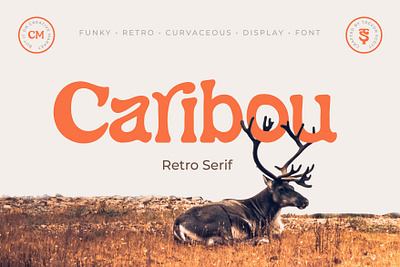 Caribou – Retro Serif Font bold branding clean colorful creative design display font graphic design groovy headline logo nature retro serif thick typeface vector vintage
