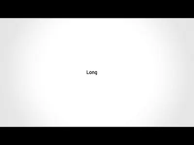 Long Dog Agency Promotional Video advertising branding design digital design graphic design identity illustration layout design logo marketing promotional video website