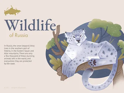 Wildlife of Russia: Snow leopard animal art design graphic illustration irbis nature snow leopard