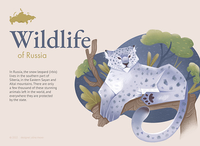 Wildlife of Russia: Snow leopard animal art design graphic illustration irbis nature snow leopard
