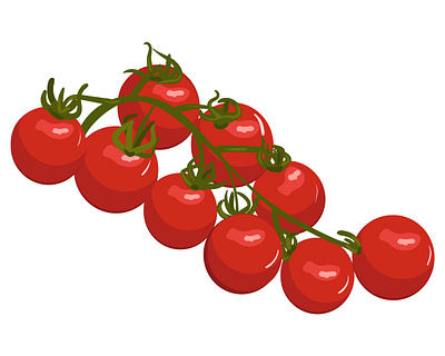 Tomatoes on a branch. Vector illustration branch