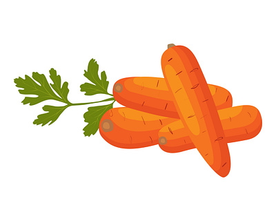 Carrot, Vector illustraion bunch