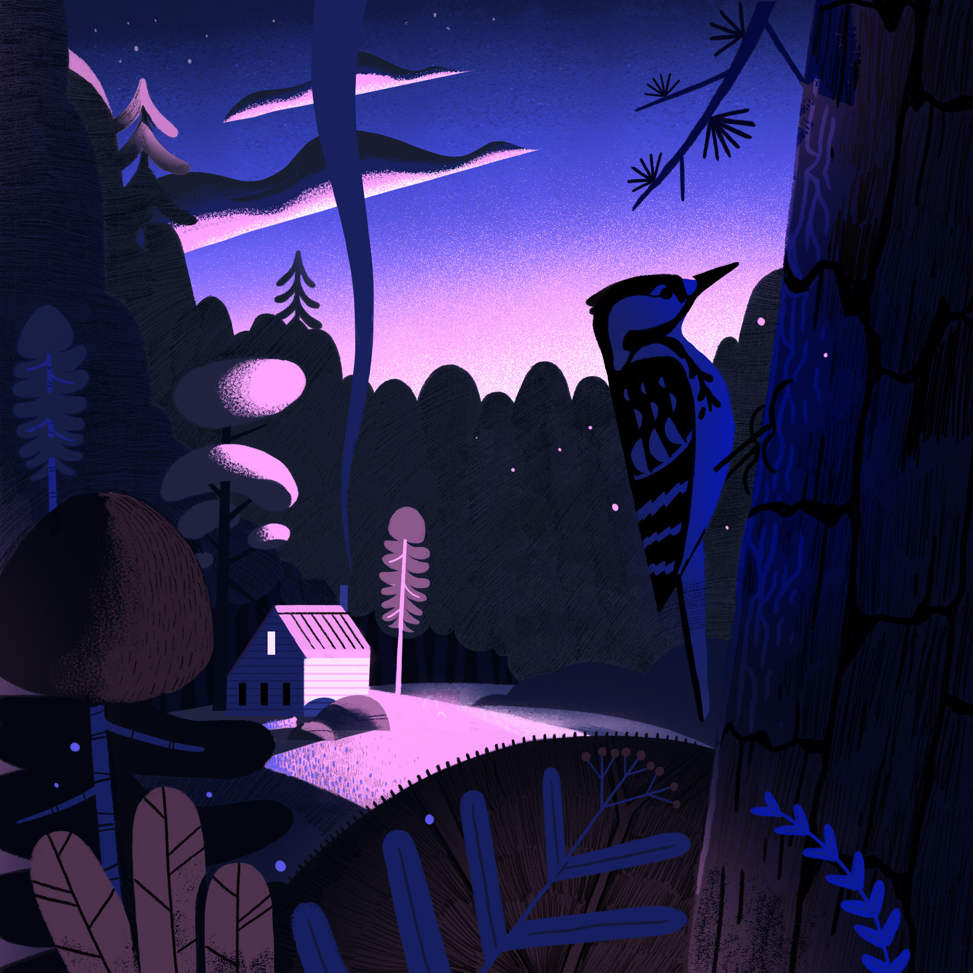 Woodlands animation digital folioart gerhard van wyk illustration landscape nature styleframe wildlife