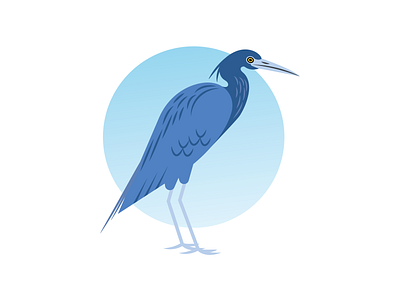 Little Blue Heron beak bird blue bird blue heron clean feathers geometric gradient heron icon illustration illustrator long legged packaging sharp simple vector wings