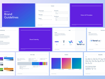 TerraTrue - Brand Guidelines brand book brand guide brand guidelines branding design system