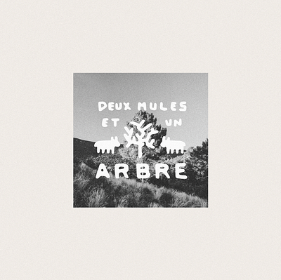 Two Mules and a Tree branding collage desert design font graphic design illustration lettering logo mule organic southwest tree trend type typeface typography