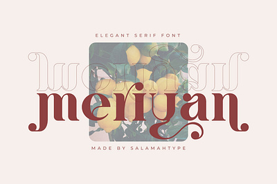 Meriyan - Display Serif Font branding font creative design display font display serif font font design fonts free graphic logo font serif font typeface