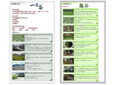 茶葉作品