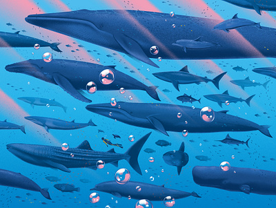 Underwater animals digital fish folioart illustration kouzou sakai nature puzzle