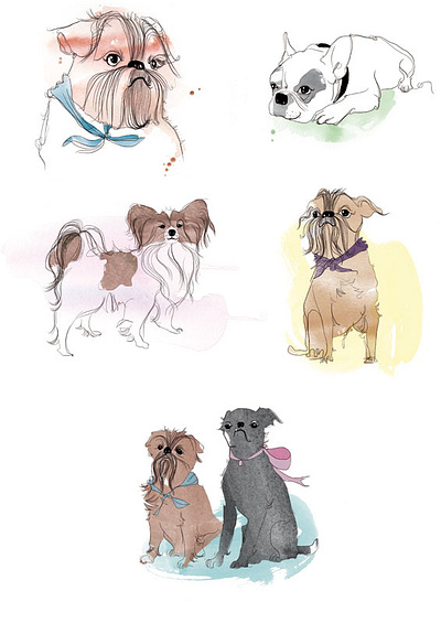 Puppies branding character collage color design drawing fashion graphic design illustration logo pet puppies ui vector