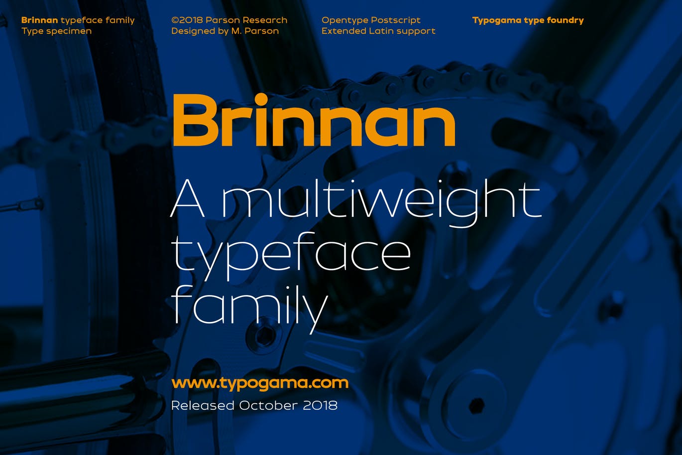 Brinnan app branding design display font graphic design illustration logo magazine serif typeface typography ui ux vector