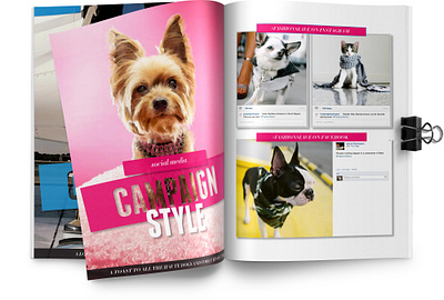 Lola & Penelope's Social Media Guidebook branding design digital collage digital photography graphic design illustration logo mixed media social media ui vector