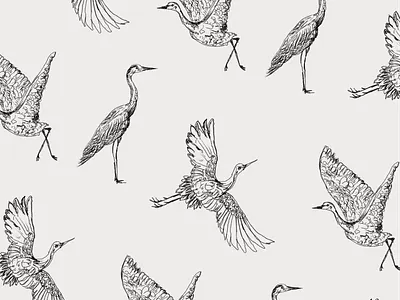 Crane Illustration for Sterling Coffee House bird illustration branding branding and identity branding designer clean design crane crane illustration design hand drawn design illustration logo logo designer minimal illustration minimalism minimalist design typography