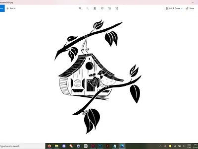 Backyard Neighbour illustration