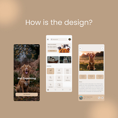 Pet Grooming ui design petgrooming ui uiux uiuxdesign uxdesign