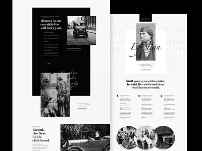 Black & White colored design landing page ui ux web web design
